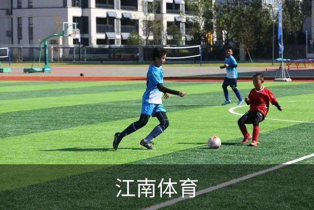江南体育公司简介展示图